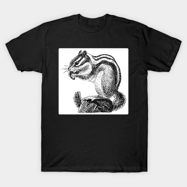 Chipmunk T-Shirt by NatureDrawing